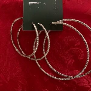 Wild Fable Silver Hoop Earrings